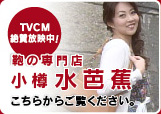 TVCM絶賛放送中！鞄の専門店小樽水芭蕉